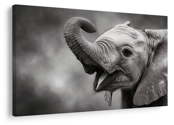 Tablou pui de elefant în alb-negru