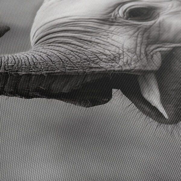 Tablou moment vesel cu elefant