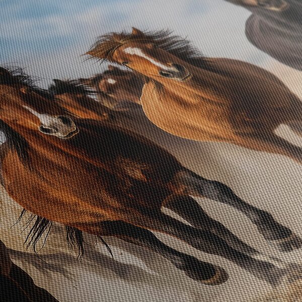 Tablou galop sălbatic al cailor prin peisaj