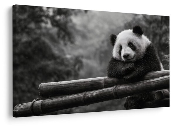 Tablou panda odihnindu-se pe bambus