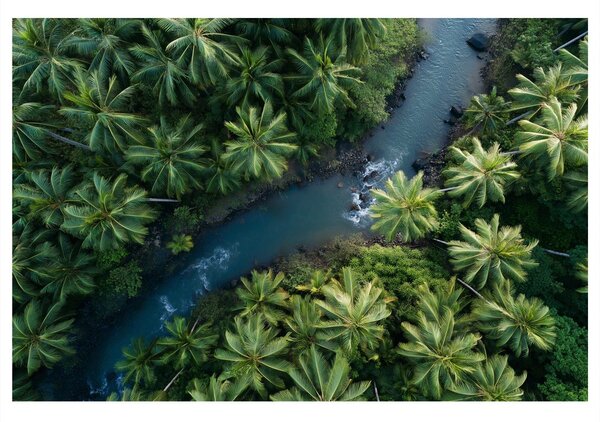 Tablou râu tropical în junglă