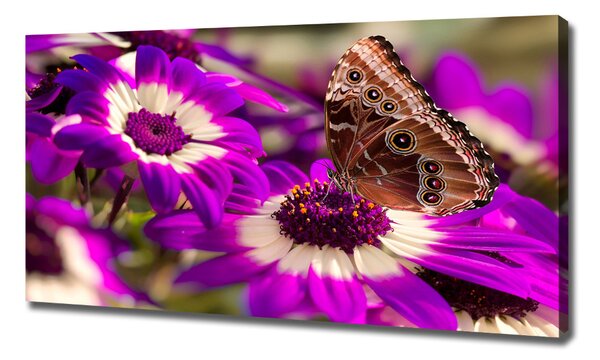 Tablou canvas Fluture pe o floare