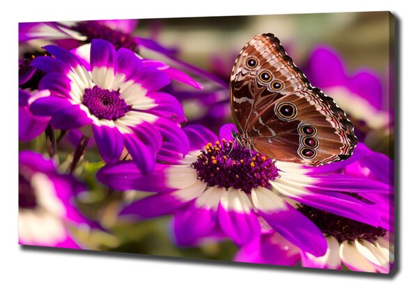 Tablou canvas Fluture pe o floare