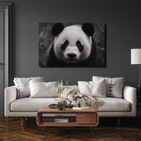 Tablou panda drăgălașă în natură