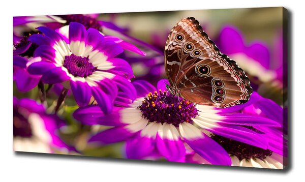 Tablou canvas Fluture pe o floare