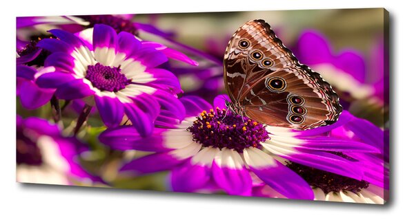 Tablou canvas Fluture pe o floare