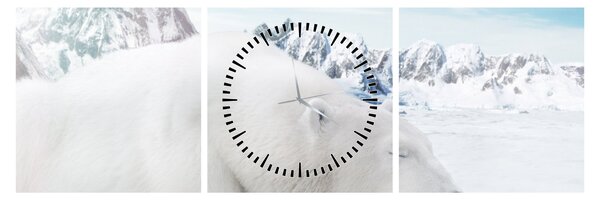 Tablou - Urs polar (cu ceas) (90x30 cm)