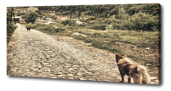 Tablouri tipărite pe pânză Doi câini pe deal