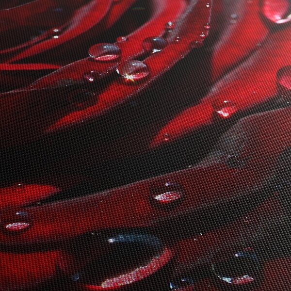 Tablou - Trandafir (90x60 cm)