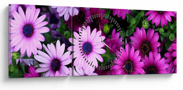Tablou - Flori (cu ceas) (90x30 cm)