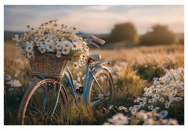 Tablou bicicletă cu flori pe pajiște
