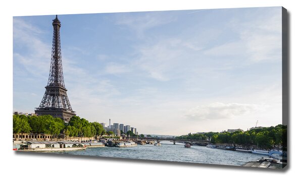 Tablou pe pânză canvas Turnul Eiffel din Paris