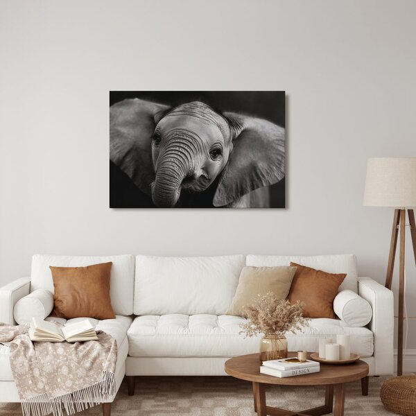 Tablou pui de elefant în detaliu