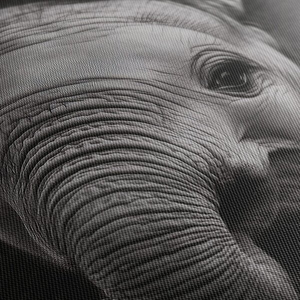 Tablou portret alb-negru al unui elefant