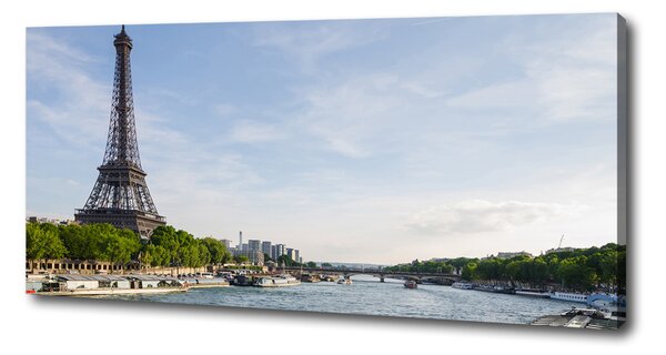 Tablou pe pânză canvas Turnul Eiffel din Paris