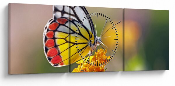 Tablou - Fluture pe floare (cu ceas) (90x30 cm)