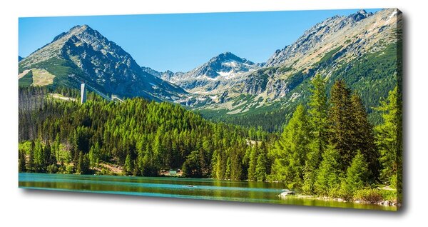 Print pe canvas Lacul în munți