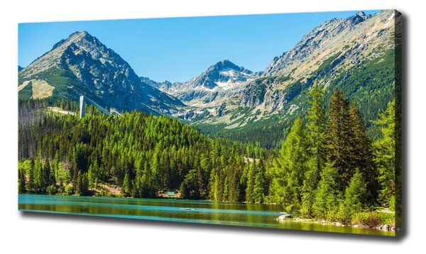 Print pe canvas Lacul în munți
