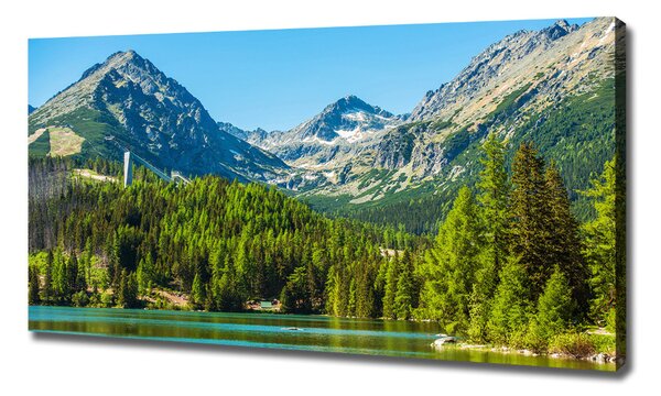 Print pe canvas Lacul în munți