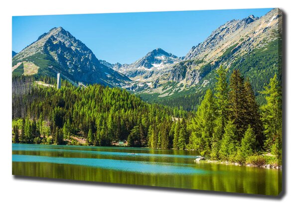 Print pe canvas Lacul în munți