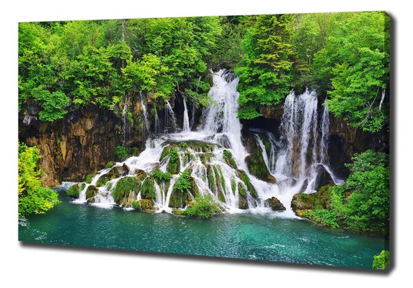 Tablou pe pânză Cascada în munți