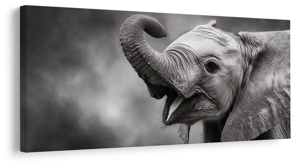 Tablou moment vesel cu elefant