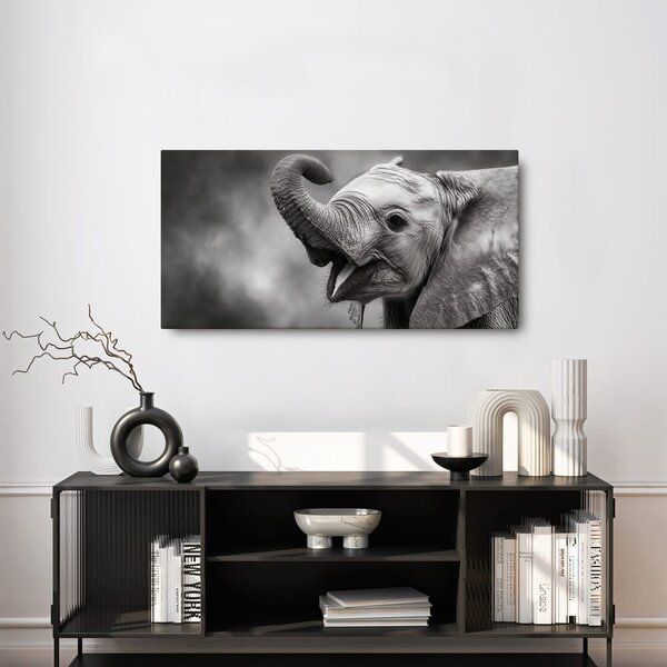 Tablou moment vesel cu elefant