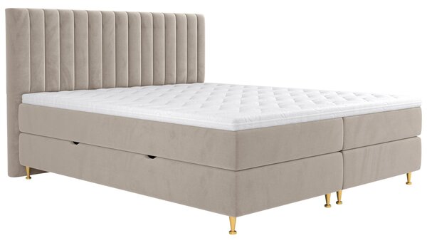 Pat matrimonial Boxspring 140 cm Rondel (fresh 01). 1054088