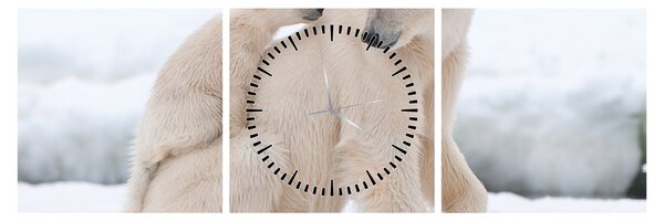 Tablou - Urs polar (cu ceas) (90x30 cm)
