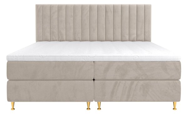 Pat matrimonial Boxspring 140 cm Rondel (fresh 01). 1054088