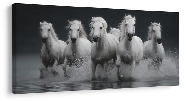 Tablou galop sălbatic al cailor albi