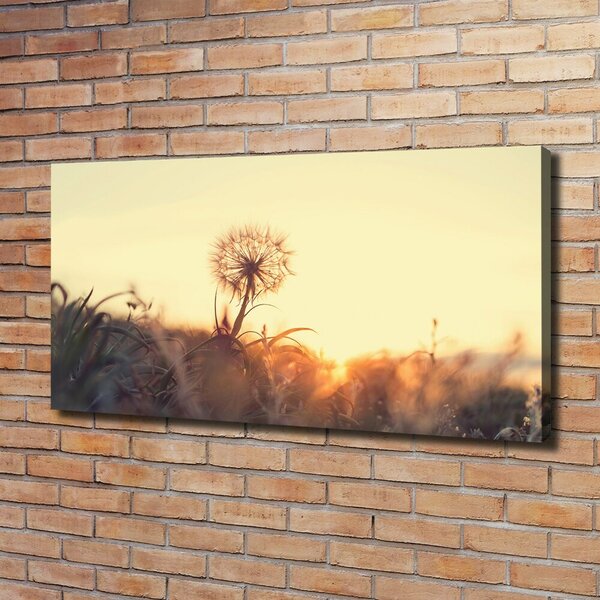 Tablou canvas Păpădie