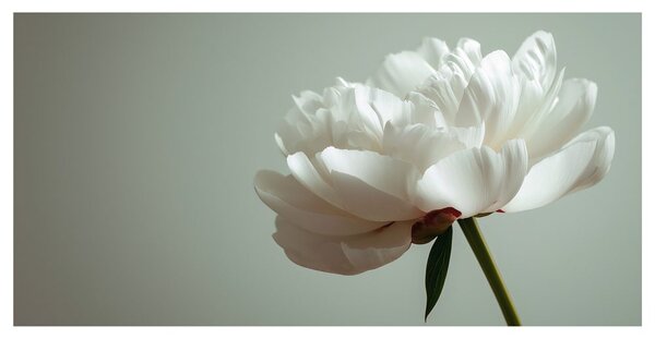 Tablou eleganță florală pe alb