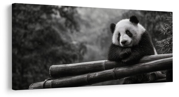 Tablou panda liniștită în natură