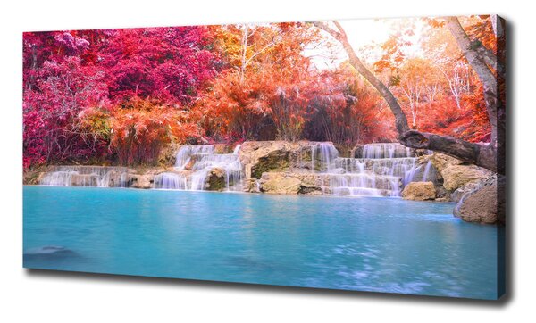 Tablou canvas Cascada din pădure