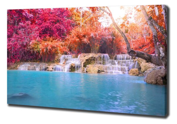 Tablou canvas Cascada din pădure