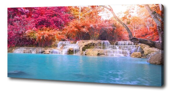 Tablou canvas Cascada din pădure