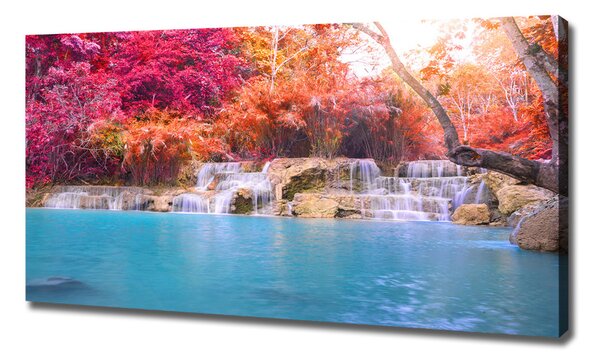 Tablou canvas Cascada din pădure