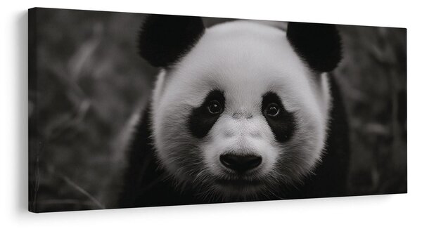 Tablou panda alb-negru zâmbitoare