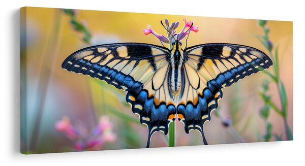 Tablou fluture colorat în natură