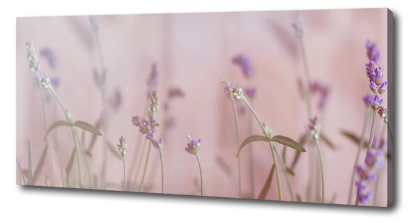 Imprimare tablou canvas Lavandă