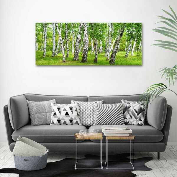 Tablou canvas pădurea de mesteacăn