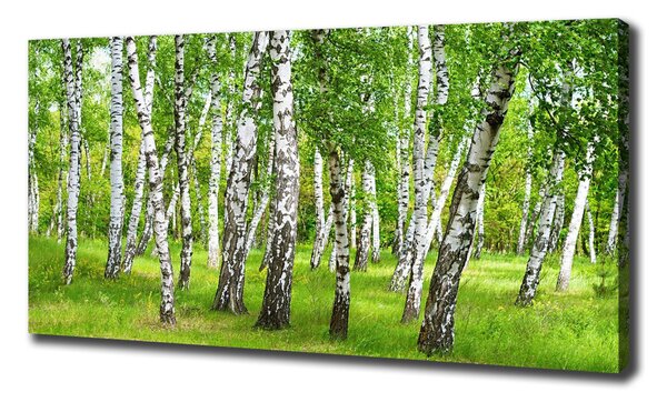 Tablou canvas pădurea de mesteacăn