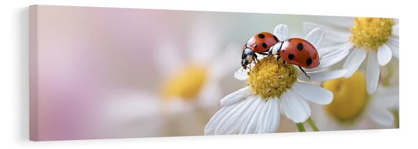 Tablou natură plină de viață