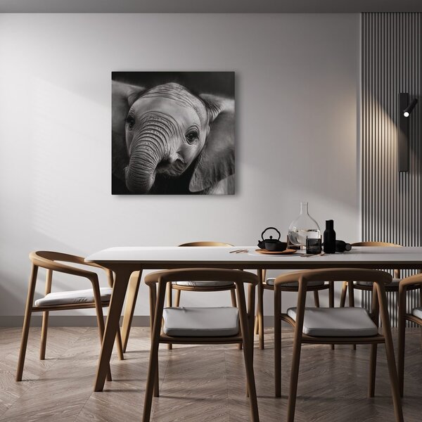 Tablou portret alb-negru al unui elefant