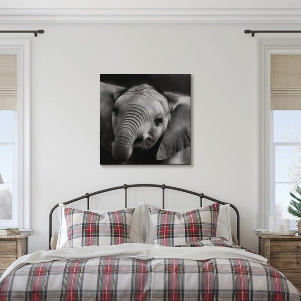 Tablou portret alb-negru al unui elefant