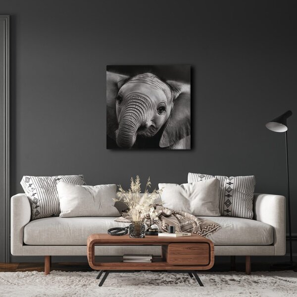Tablou portret alb-negru al unui elefant