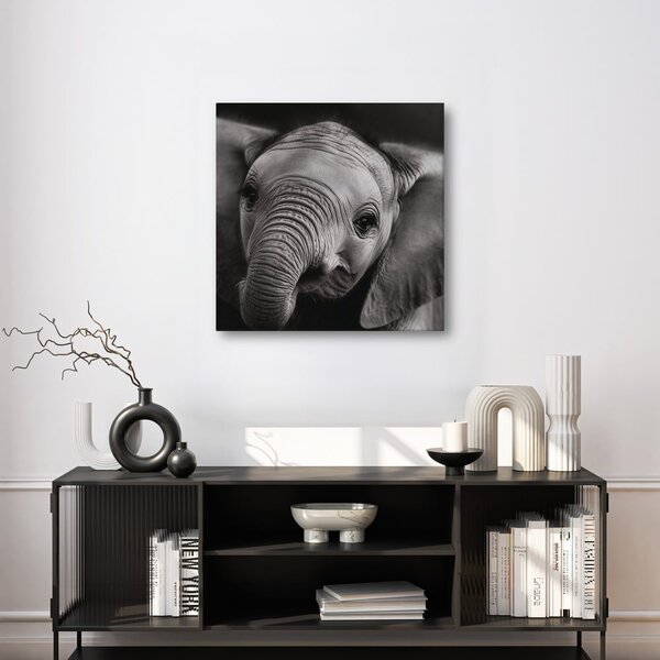 Tablou portret alb-negru al unui elefant