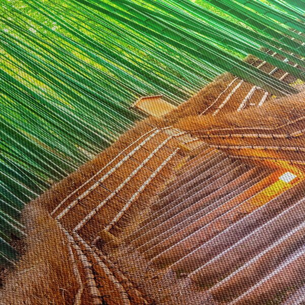 Tablou - Pădure de bambus japoneză (90x60 cm)