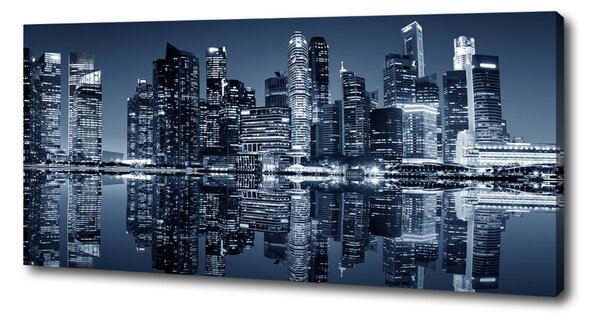 Pictură pe pânză Singapore timp de noapte
